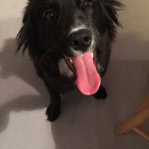 Meet your Posher, Bsjajw